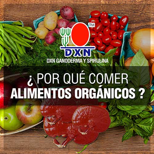 Alimentos